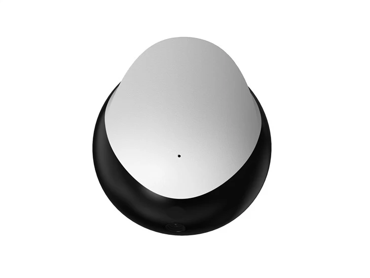 Home Robot